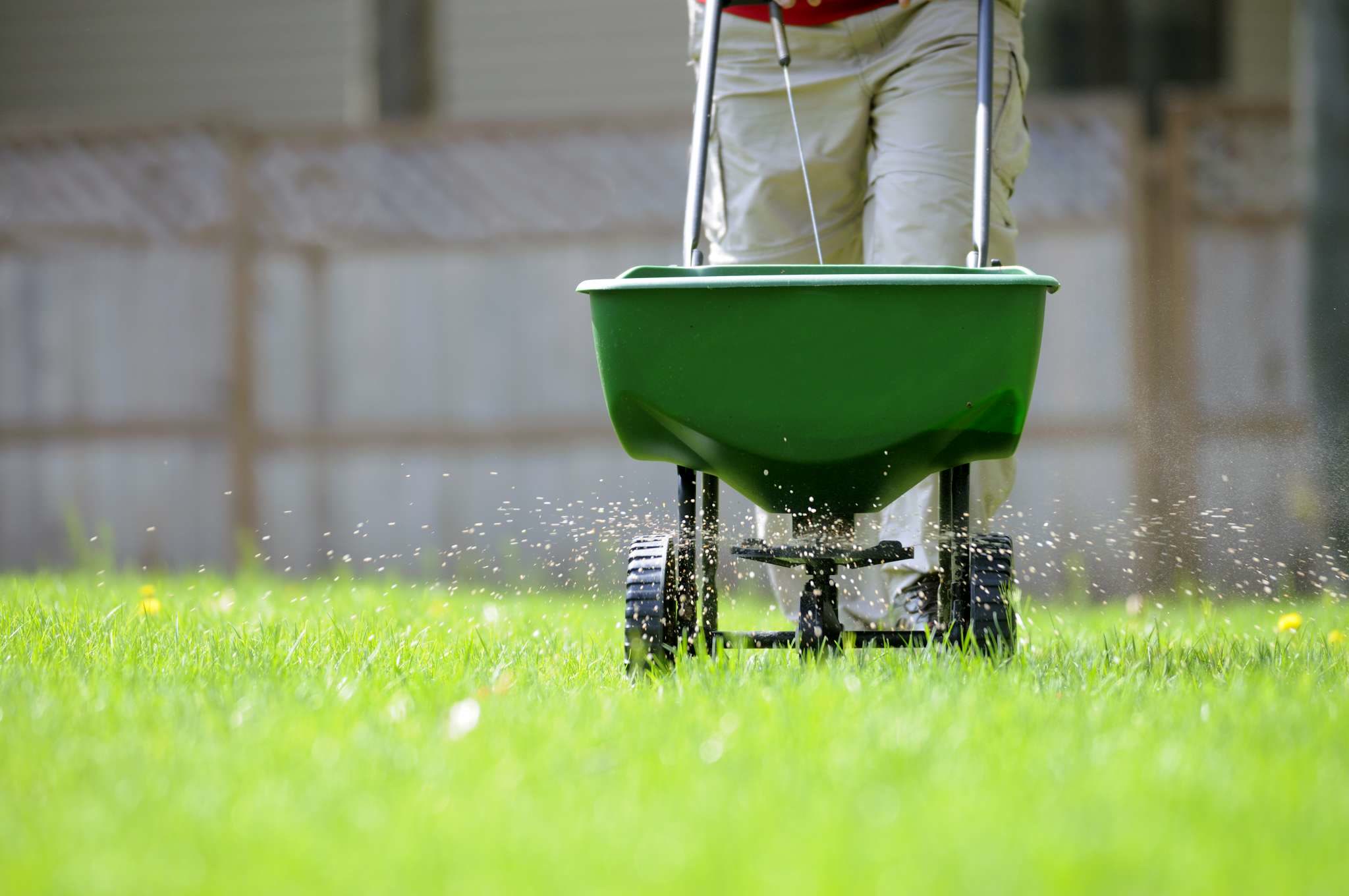 Fertilizing