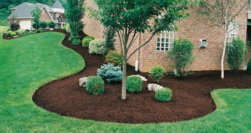 TLC Mulch